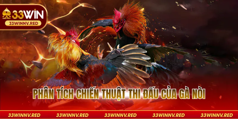 Phân tích chiến thuật thi đấu của gà nòi