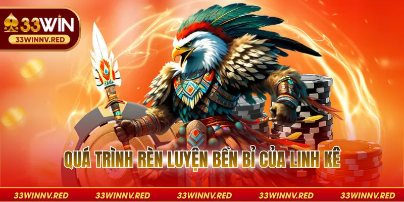 Quá trình rèn luyện bền bỉ của linh kê